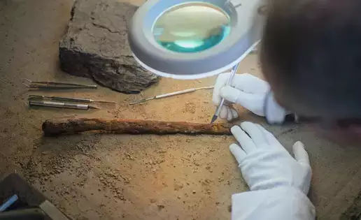 Archaeologist working in the lab