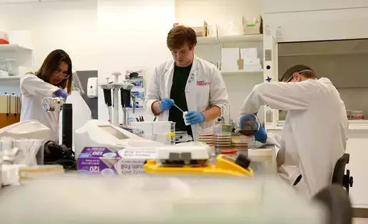 Biology lab students prepare experiments and analyses 