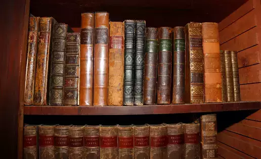 Old leather bound hard copy books sit on a shelf
