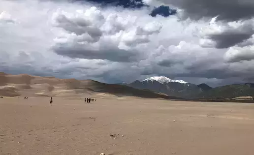 Geology and biology students explore the Great Sand Dunes National Park