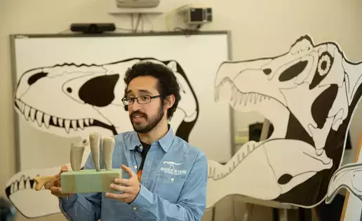 A museum curator discusses dinosaur bones