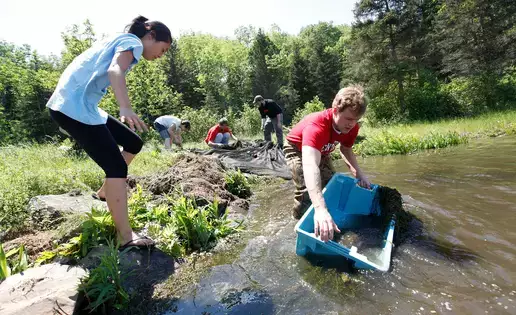 Interns collect fish samples to study water quality