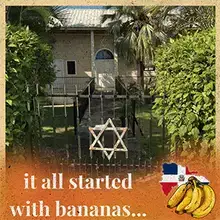 It all started with bananas podcast art