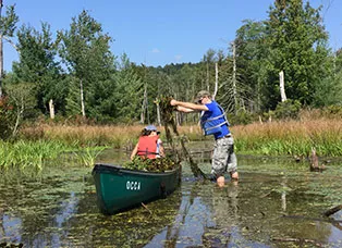 Students using a canoe in a swamp.