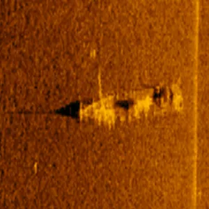 Radar scan of the Ship Wreck