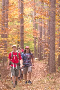 People hiking through the woods.
