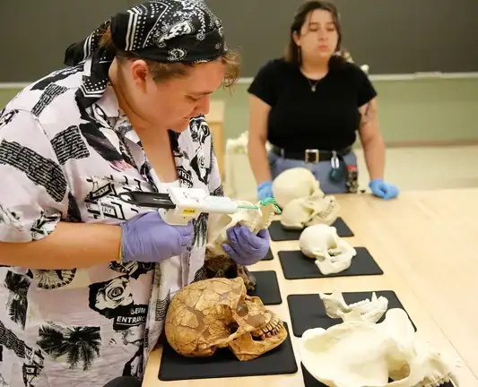 Students carefully observe and analyze dental replicas from different primates.