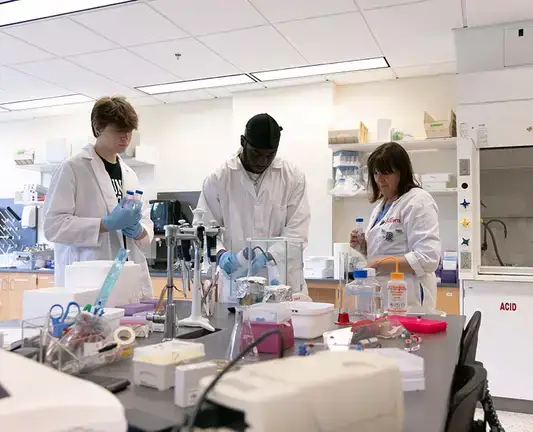 Chemistry students work on their iGEM 2024 project