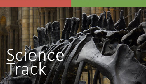 CGP-Science Track Dinosaur bones