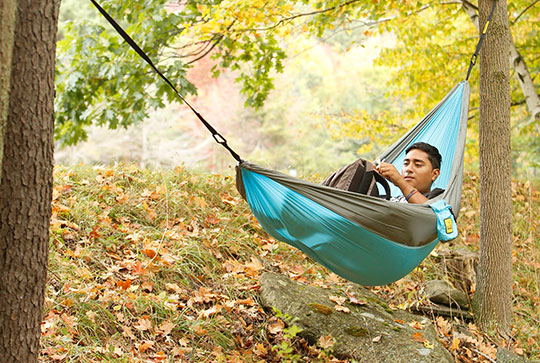 Hammock