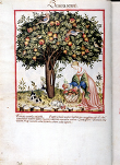 manuscript page