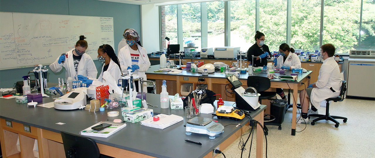 SUNY Oneonta Student Researchers