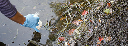 Researchers Monitor Harmful Algal Blooms on Otsego Lake