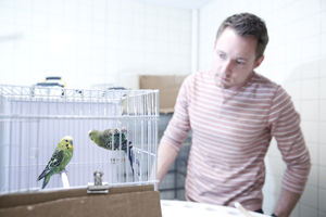 Andrew studying two parakeets