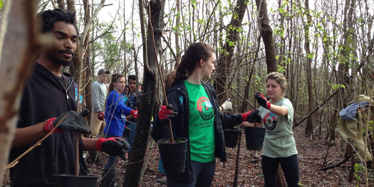 Environmental Sustainability Major | SUNY Oneonta